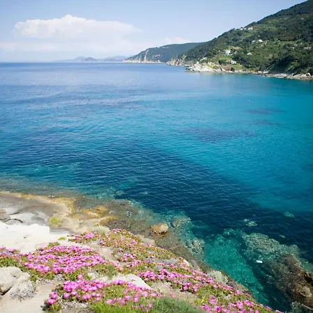 Hotel Gallo Nero 3*