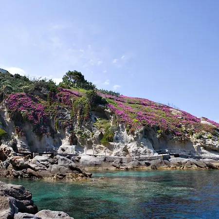 Hotel Gallo Nero Sant'Andrea (Isola d'Elba)