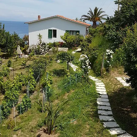 Gallo Nero 3* Сант-Андреа