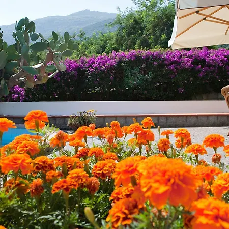 Hotel Gallo Nero 3*