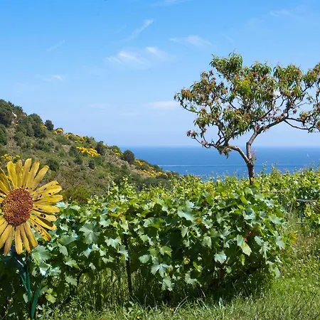 Gallo Nero Hotel SantʼAndrea