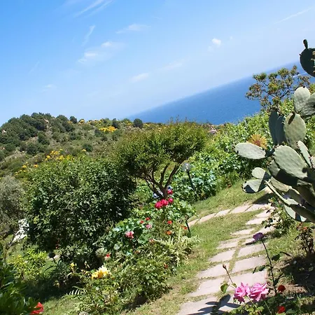 Gallo Nero Hotel Sant'Andrea (Isola d'Elba)