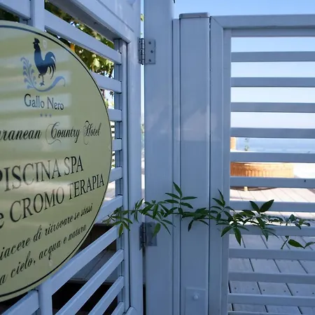 Gallo Nero Hotel SantʼAndrea