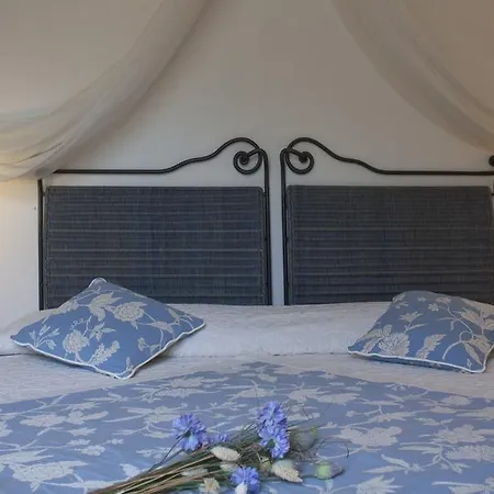 Gallo Nero Сант-Андреа