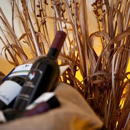 Gallo Nero Отель Сант-Андреа